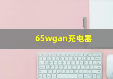 65wgan充电器