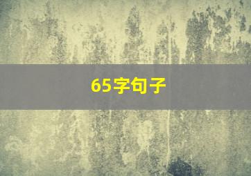 65字句子