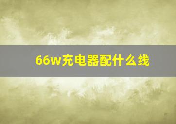 66w充电器配什么线