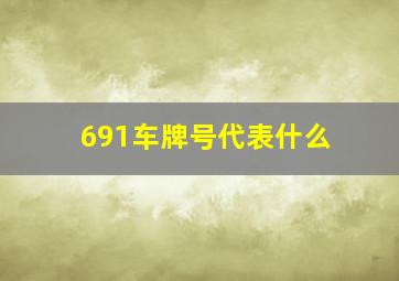 691车牌号代表什么