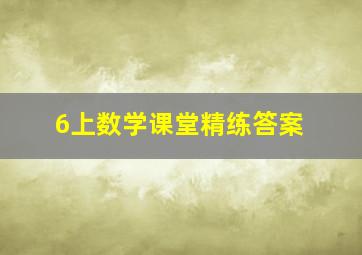 6上数学课堂精练答案