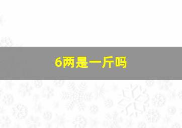 6两是一斤吗