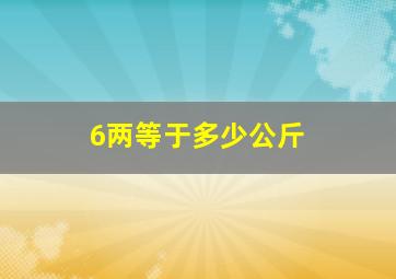 6两等于多少公斤