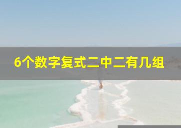 6个数字复式二中二有几组