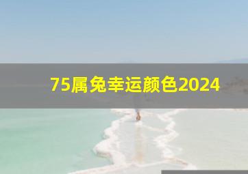 75属兔幸运颜色2024