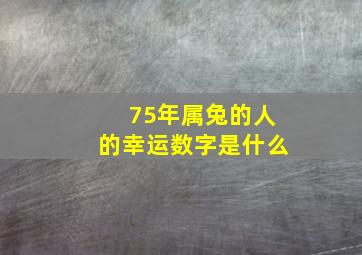 75年属兔的人的幸运数字是什么