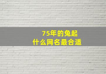 75年的兔起什么网名最合适