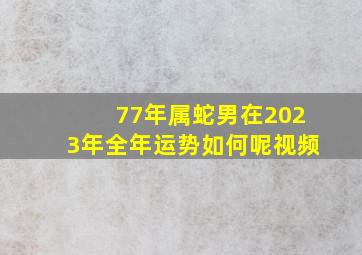 77年属蛇男在2023年全年运势如何呢视频