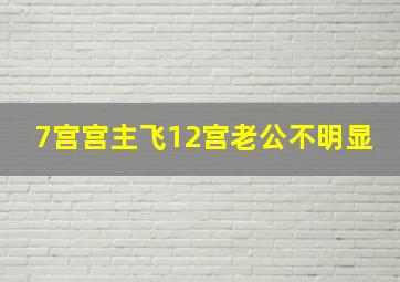 7宫宫主飞12宫老公不明显