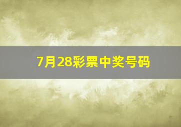 7月28彩票中奖号码