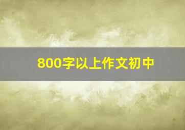 800字以上作文初中