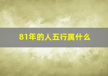 81年的人五行属什么