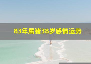 83年属猪38岁感情运势