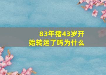 83年猪43岁开始转运了吗为什么