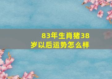 83年生肖猪38岁以后运势怎么样