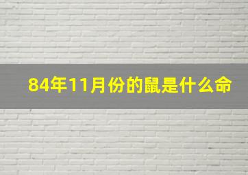 84年11月份的鼠是什么命