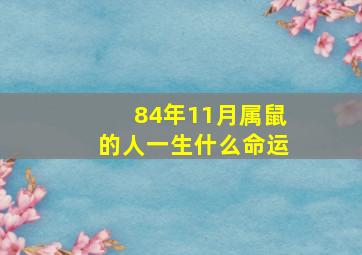 84年11月属鼠的人一生什么命运