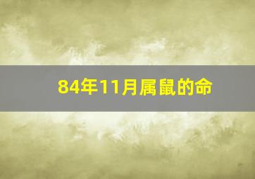 84年11月属鼠的命