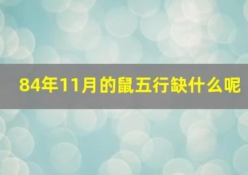 84年11月的鼠五行缺什么呢