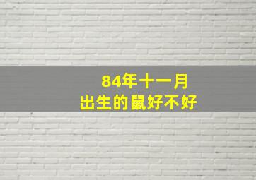 84年十一月出生的鼠好不好