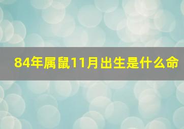 84年属鼠11月出生是什么命