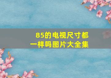 85的电视尺寸都一样吗图片大全集