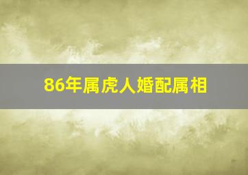 86年属虎人婚配属相