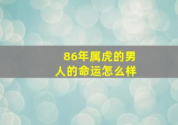 86年属虎的男人的命运怎么样