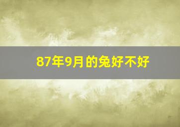 87年9月的兔好不好