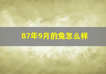 87年9月的兔怎么样