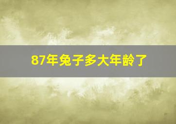 87年兔子多大年龄了