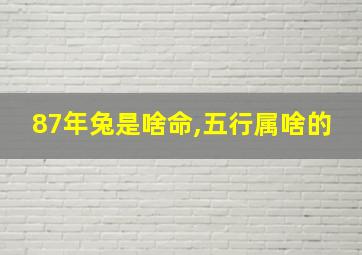 87年兔是啥命,五行属啥的