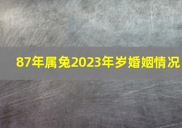 87年属兔2023年岁婚姻情况