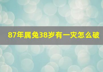 87年属兔38岁有一灾怎么破