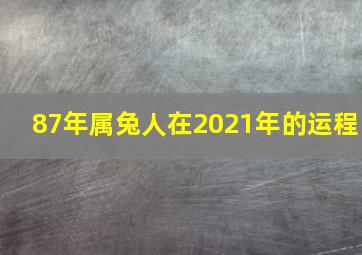 87年属兔人在2021年的运程