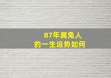 87年属兔人的一生运势如何