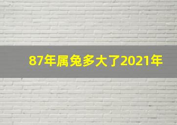 87年属兔多大了2021年