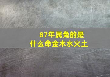 87年属兔的是什么命金木水火土