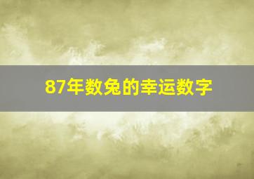 87年数兔的幸运数字