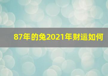 87年的兔2021年财运如何