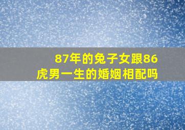 87年的兔子女跟86虎男一生的婚姻相配吗