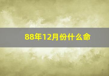 88年12月份什么命