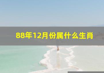 88年12月份属什么生肖