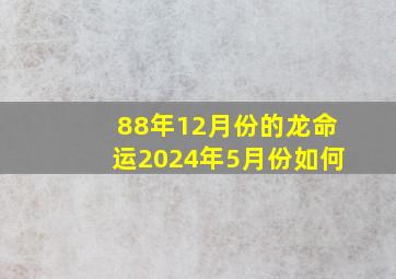 88年12月份的龙命运2024年5月份如何