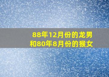 88年12月份的龙男和80年8月份的猴女