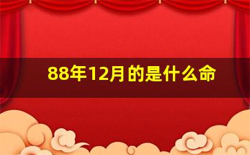 88年12月的是什么命