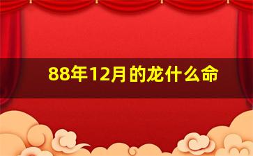 88年12月的龙什么命