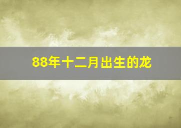 88年十二月出生的龙