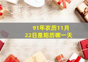 91年农历11月22日是阳历哪一天