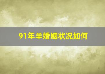 91年羊婚姻状况如何